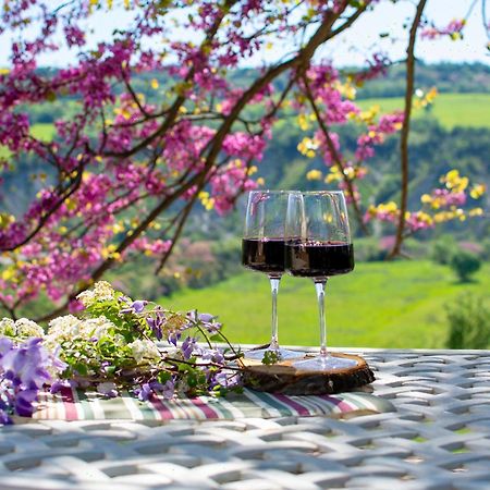 I Sicomori - Seme Di Carota - Glamping E Appartamenti Con Piscina A 萨杜勒尼亚 外观 照片