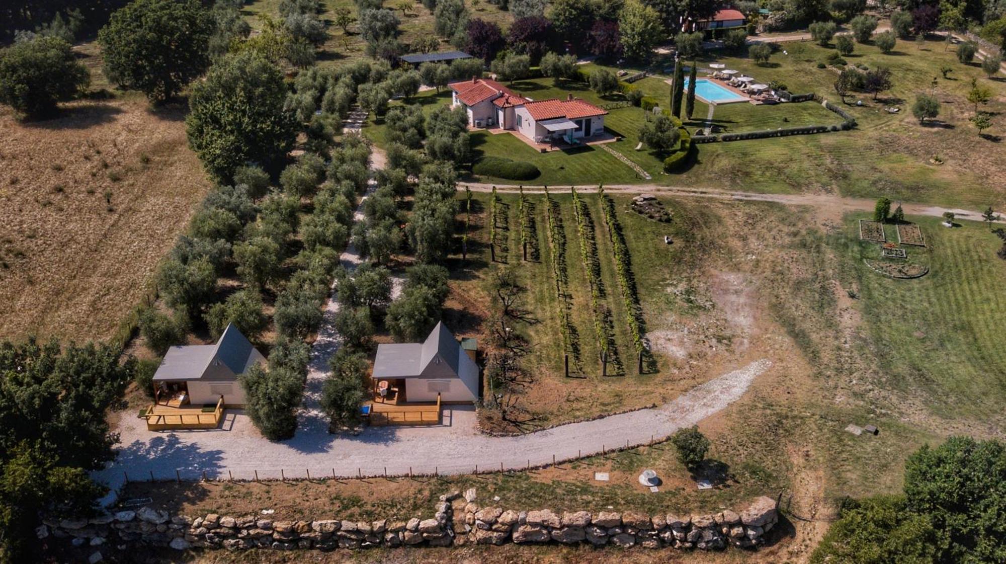 I Sicomori - Seme Di Carota - Glamping E Appartamenti Con Piscina A 萨杜勒尼亚 外观 照片