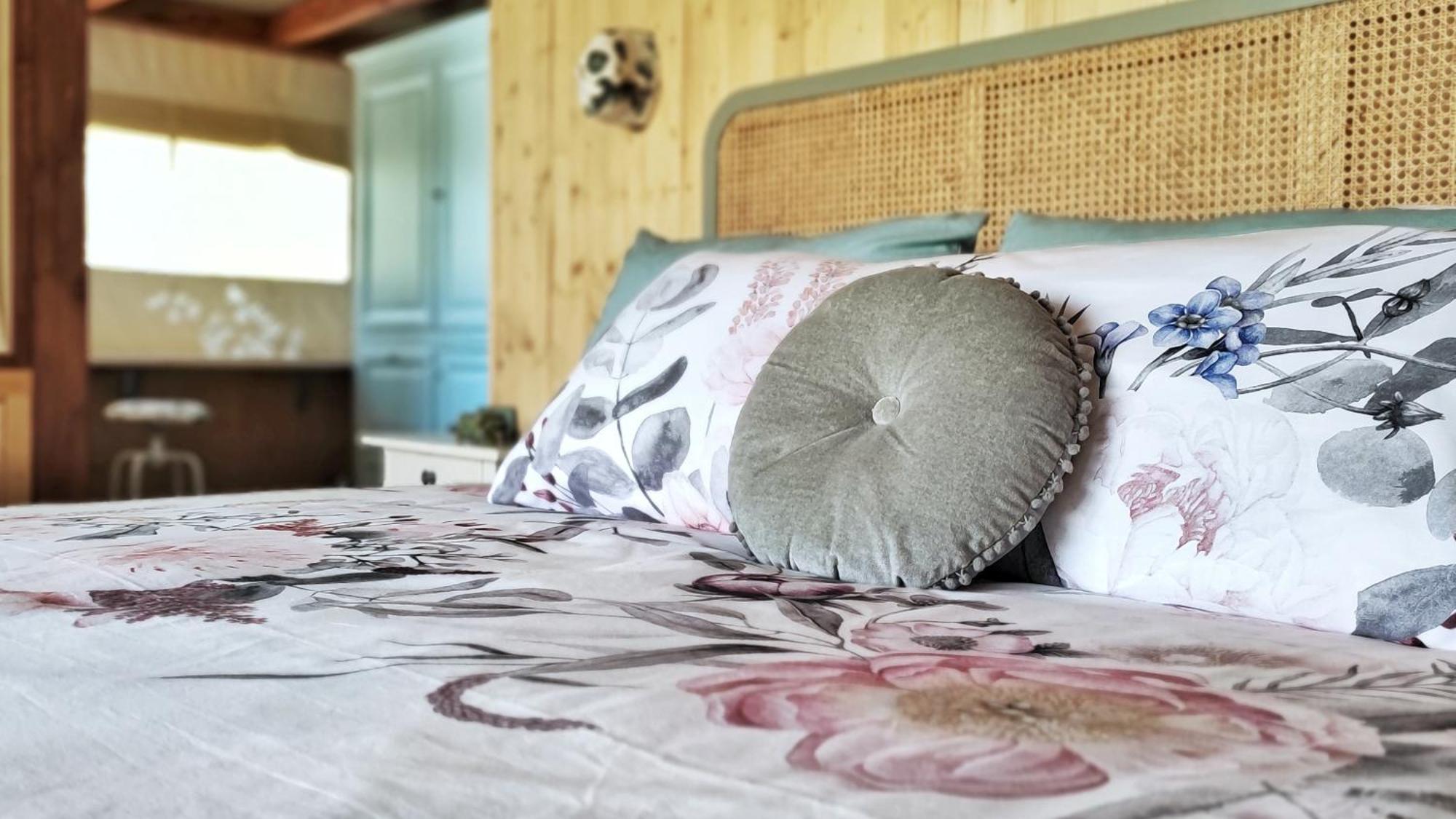 I Sicomori - Seme Di Carota - Glamping E Appartamenti Con Piscina A 萨杜勒尼亚 外观 照片