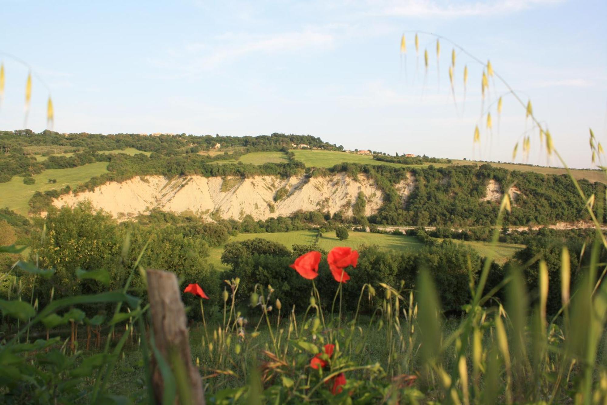 I Sicomori - Seme Di Carota - Glamping E Appartamenti Con Piscina A 萨杜勒尼亚 外观 照片