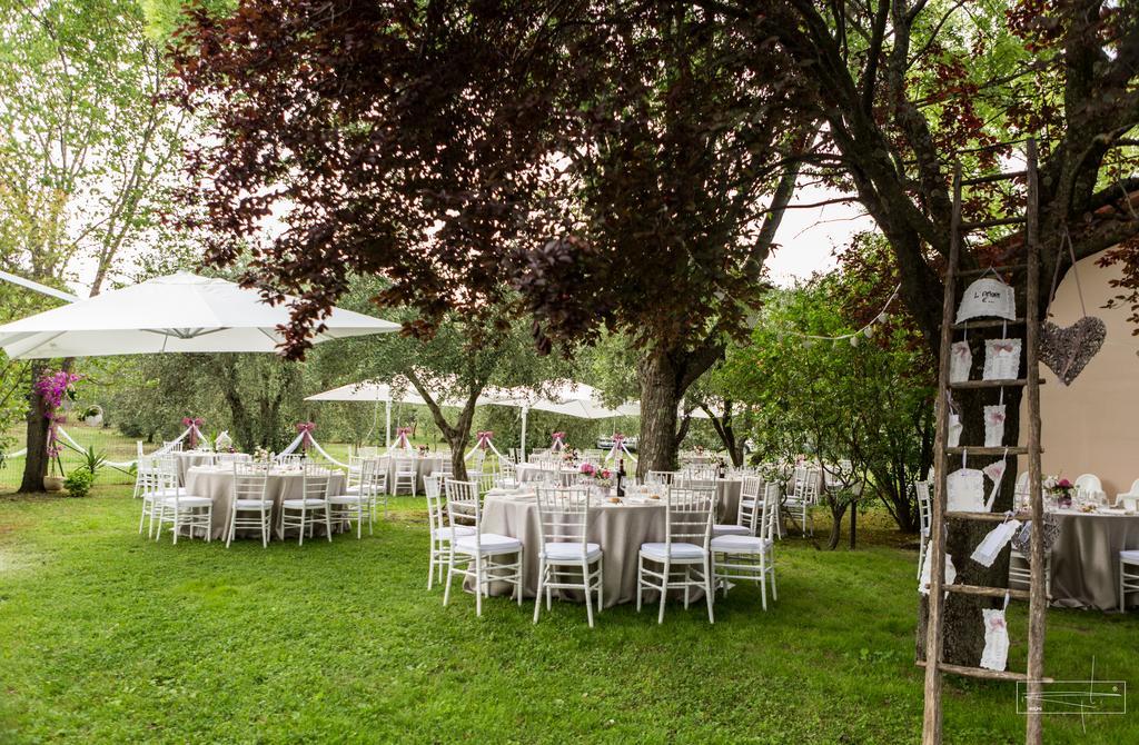 I Sicomori - Seme Di Carota - Glamping E Appartamenti Con Piscina A 萨杜勒尼亚 外观 照片